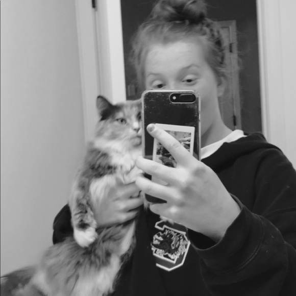 Meet your Posher, Bailey - Picture 1 of 1